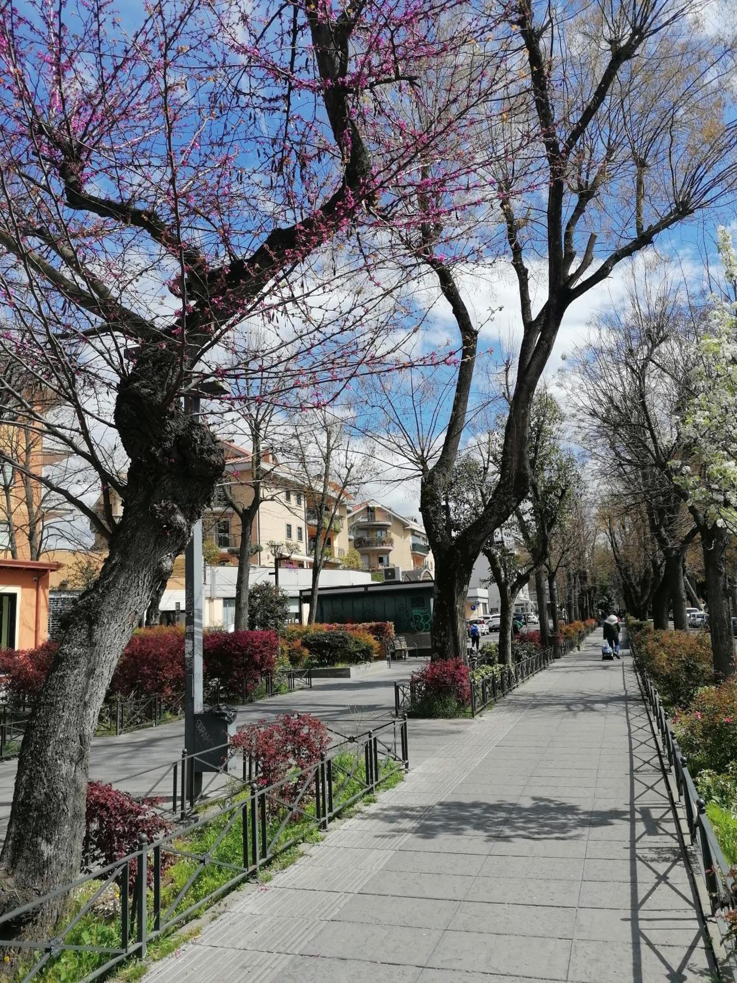 La Passeggiata Apartment Monterotondo  Exterior photo
